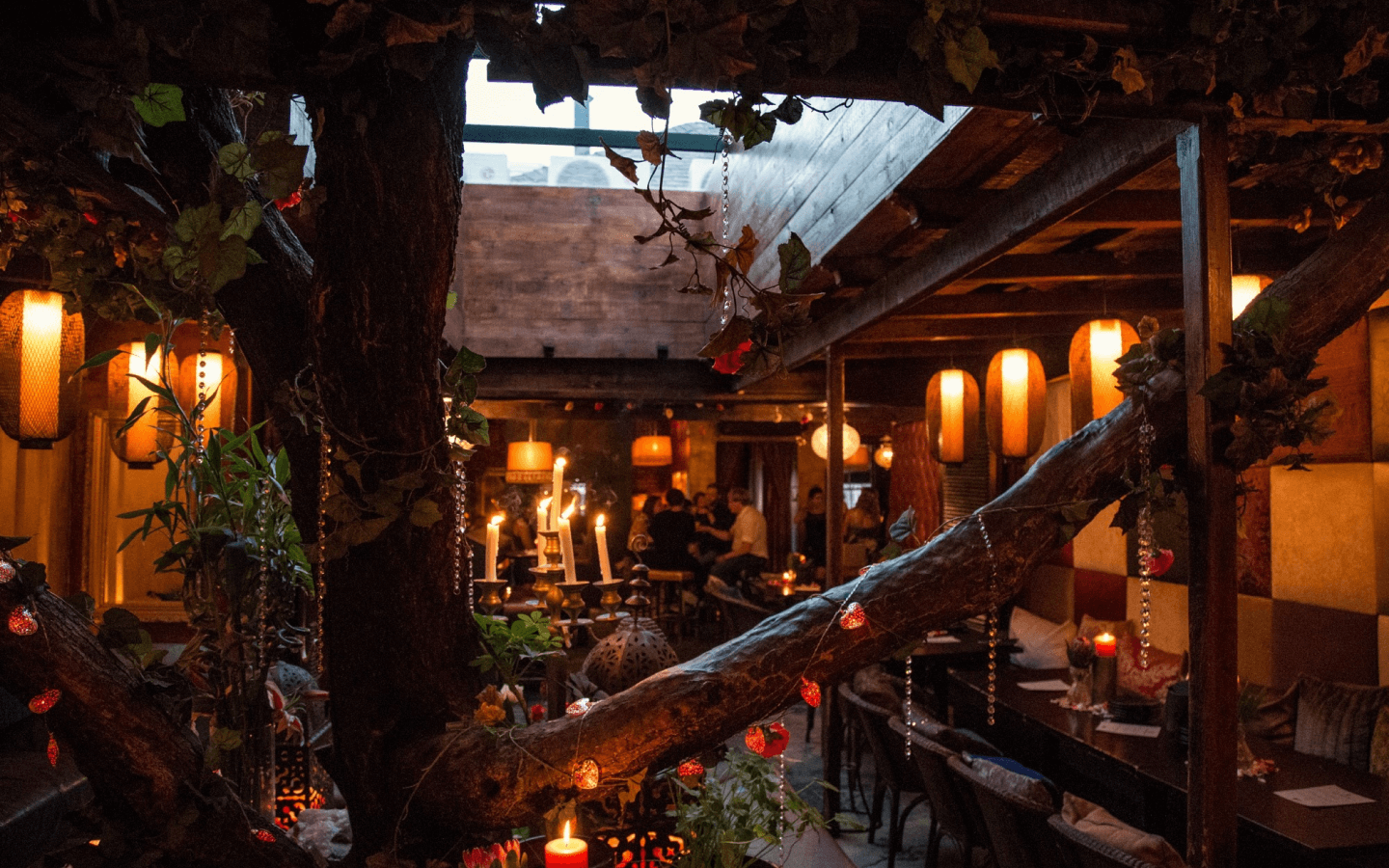 Asoka