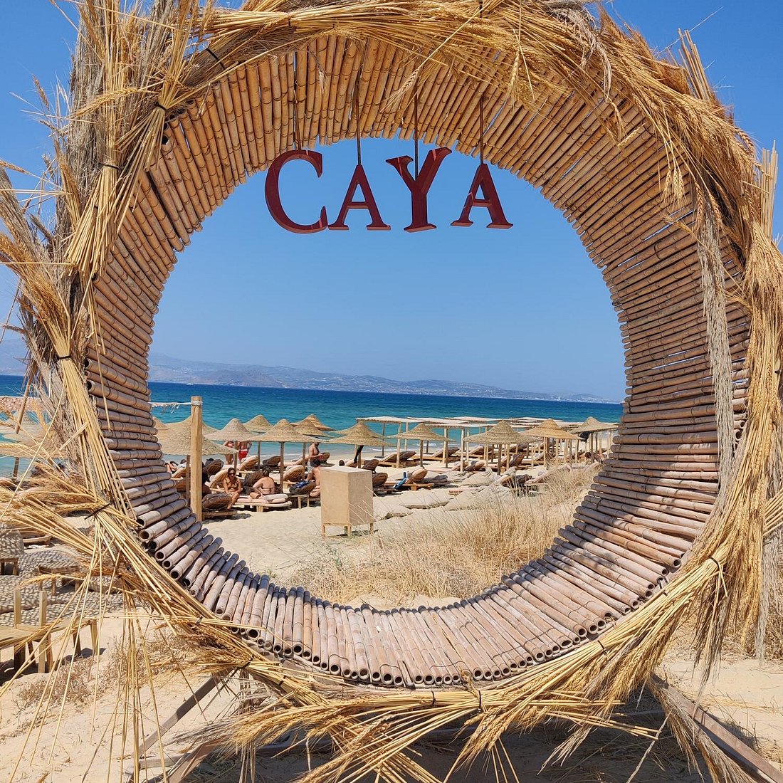 Caya