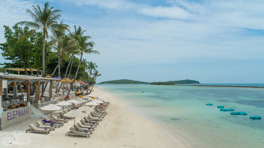 Elephant Beach Club