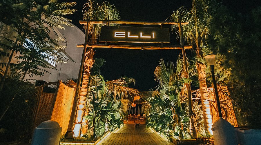 Ellie World