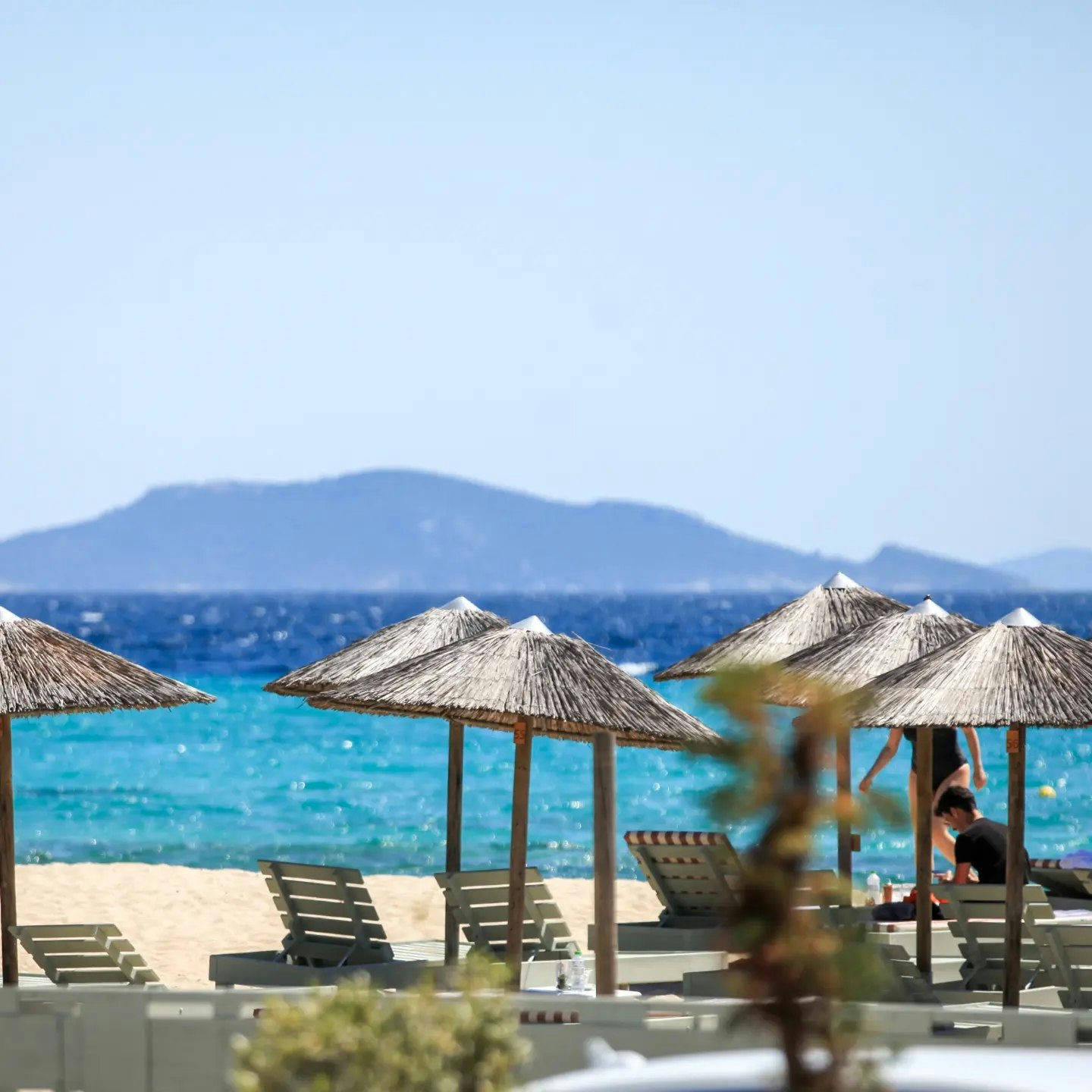 Mangoo Beach Bar