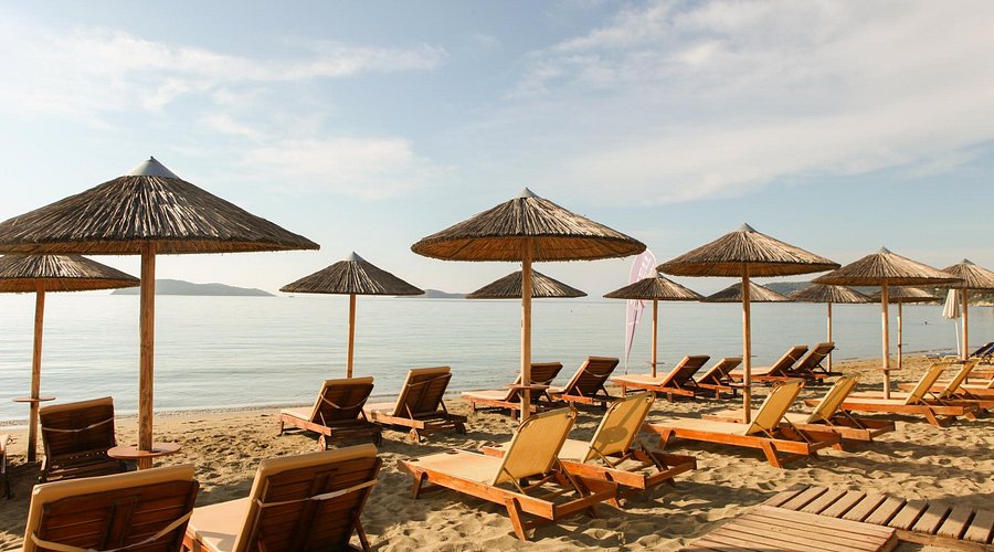 Swell Beach Bar