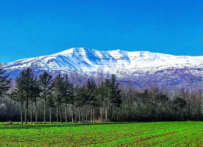 Mount Sannine