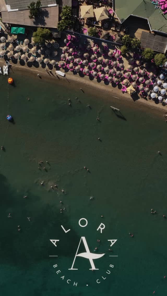 Video 6 from Alora Beach Club