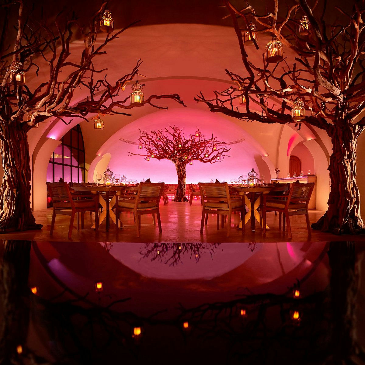 Arbol