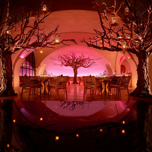 Arbol