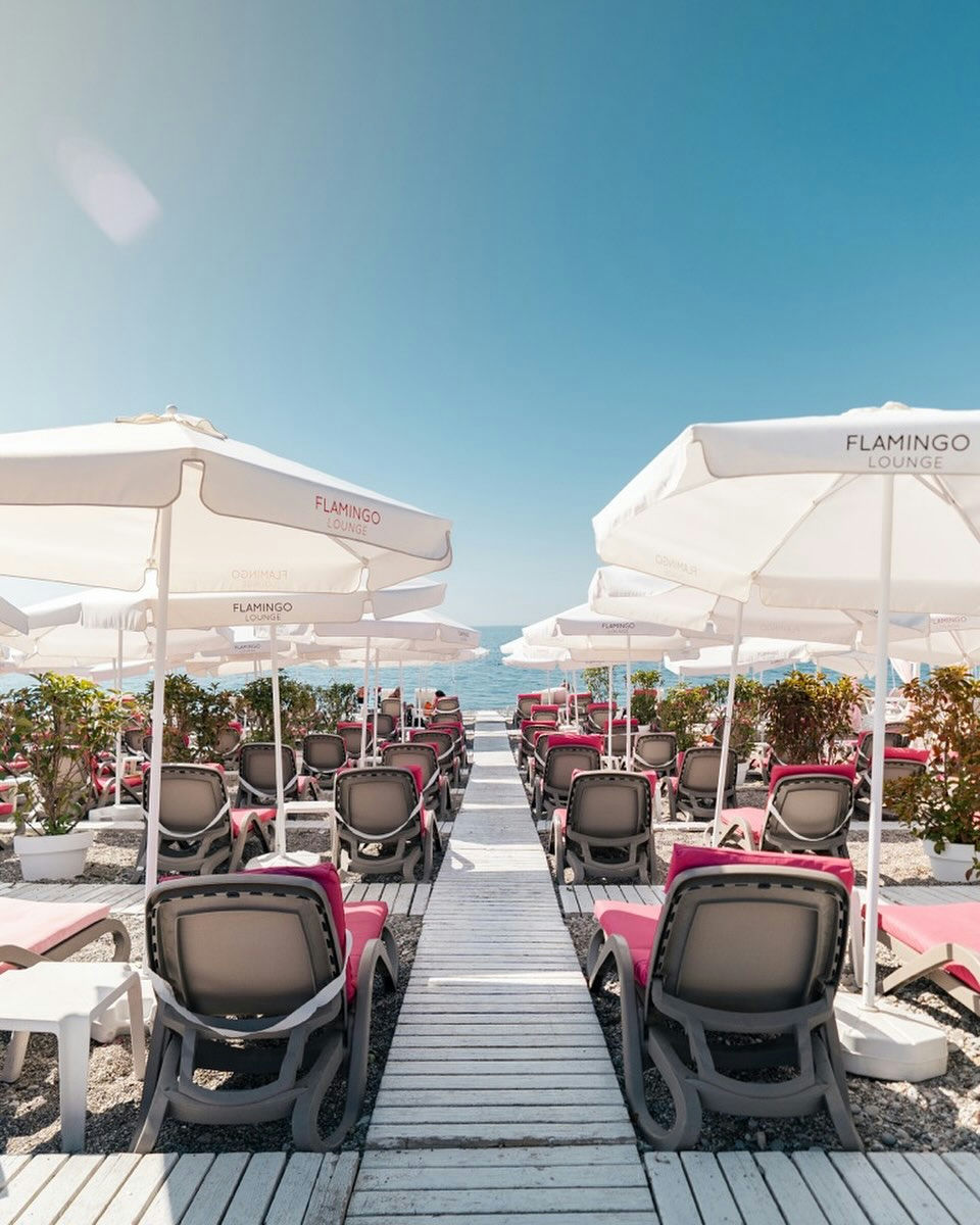 Flamingo Lounge  