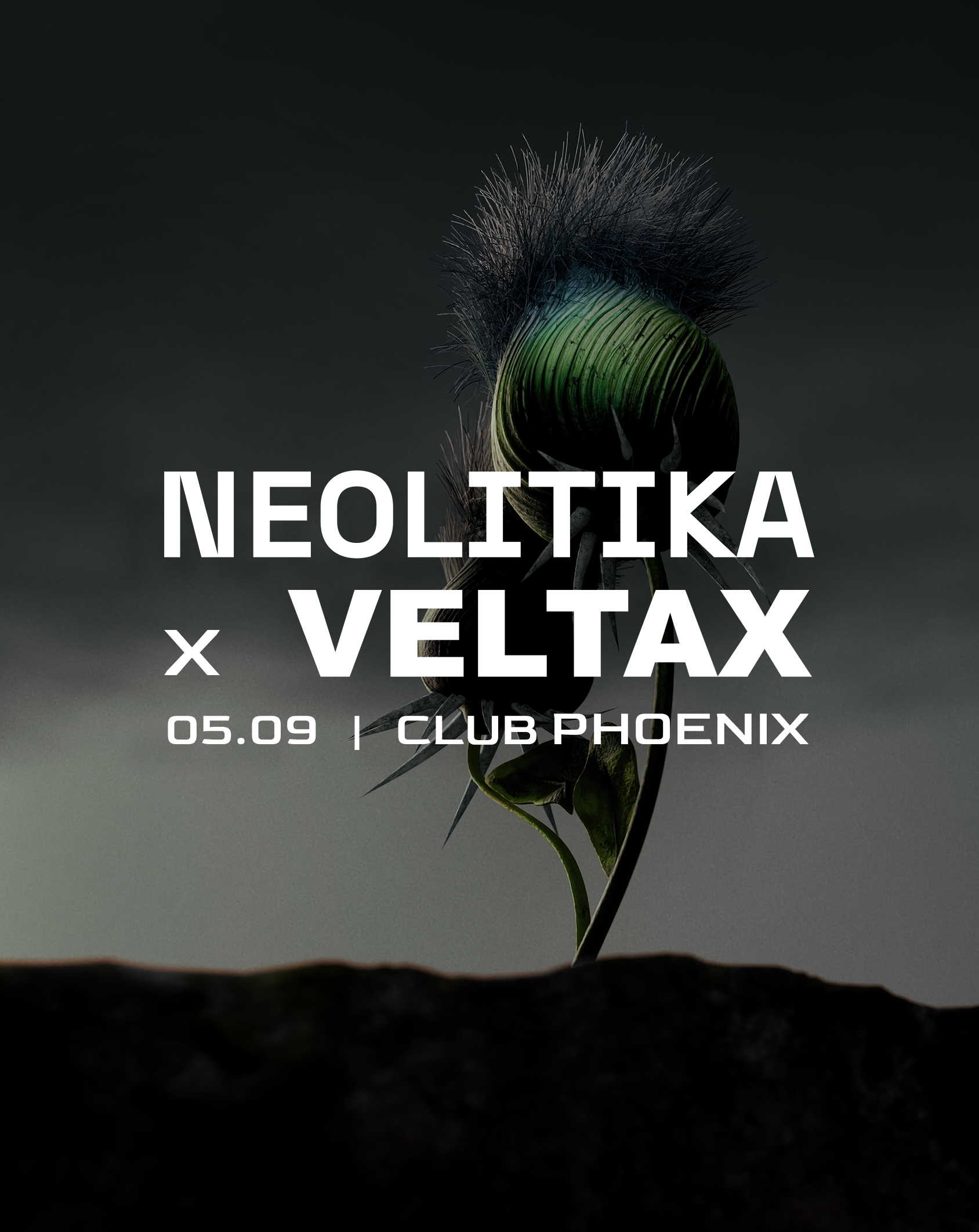 Neolitika X VELTAX