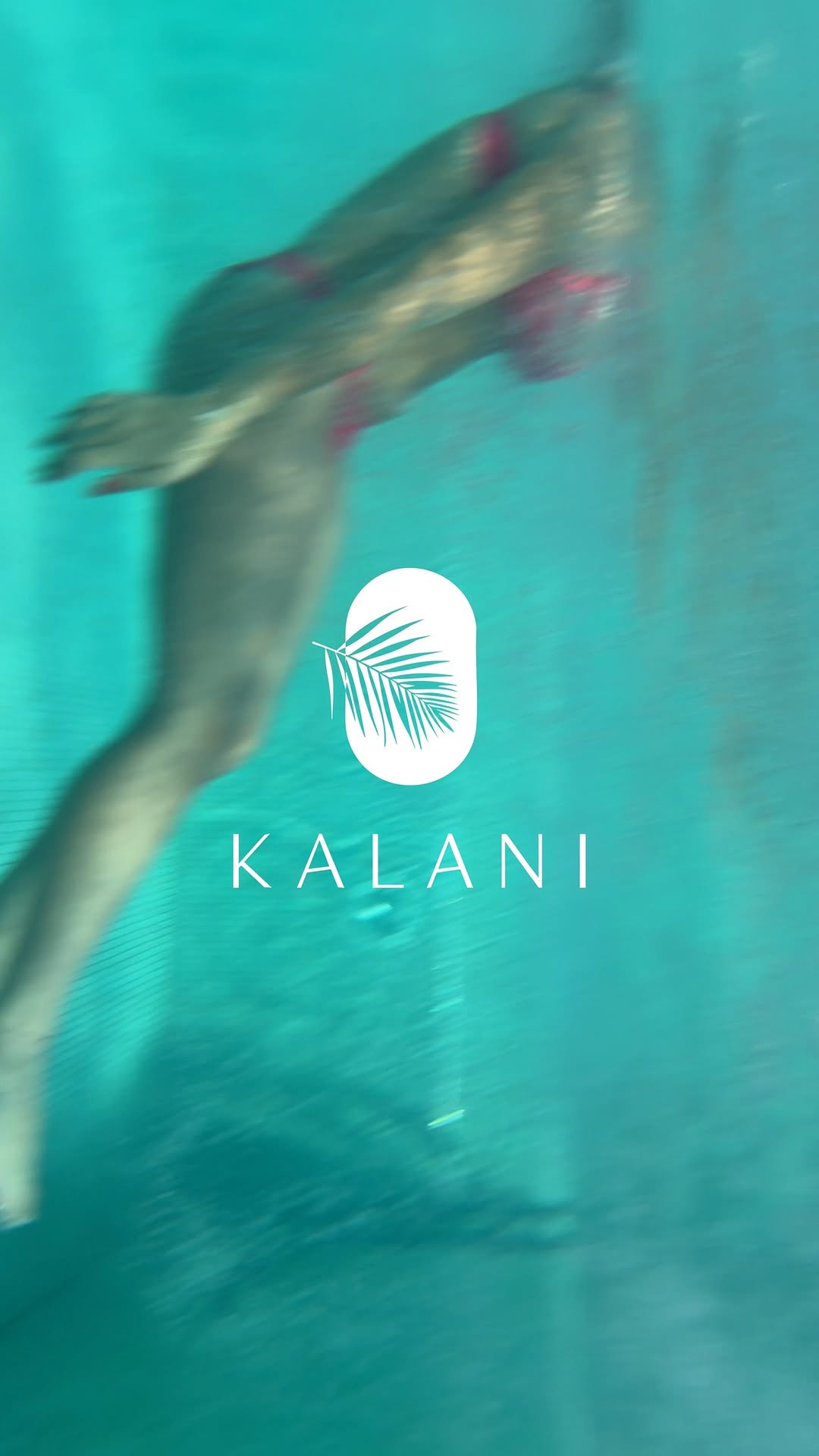 Video 1 from Kalani Beach