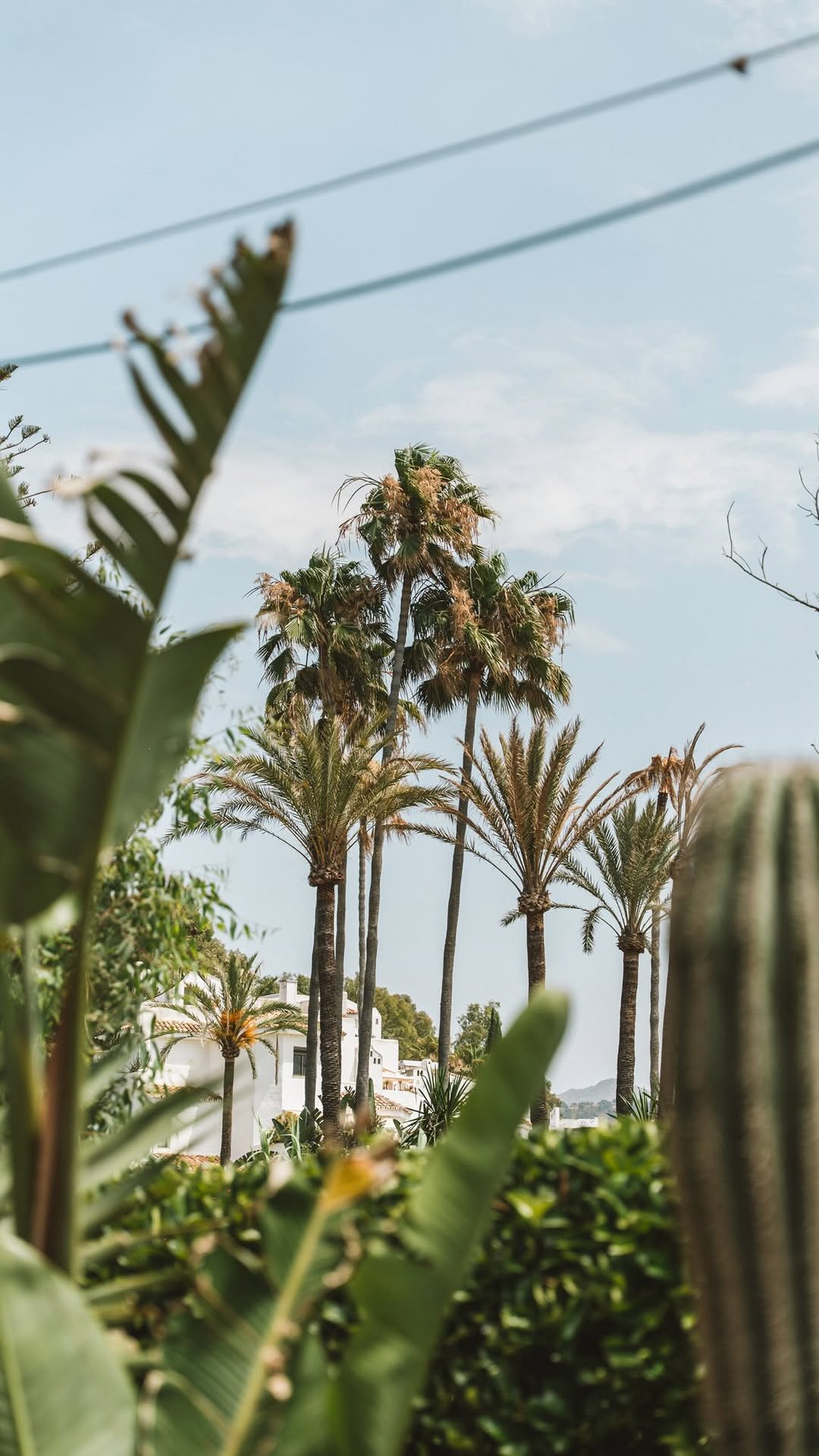 Video 5 from La Plage Casanis