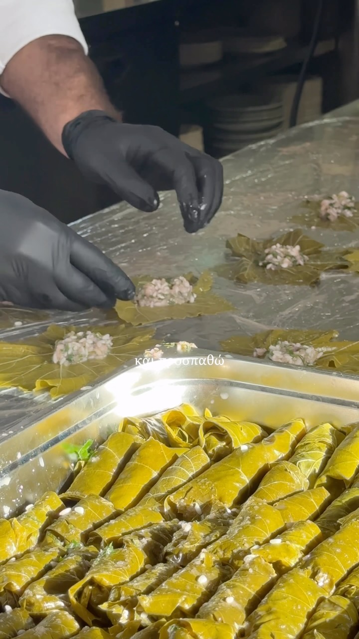 Video 8 from Loukoulos