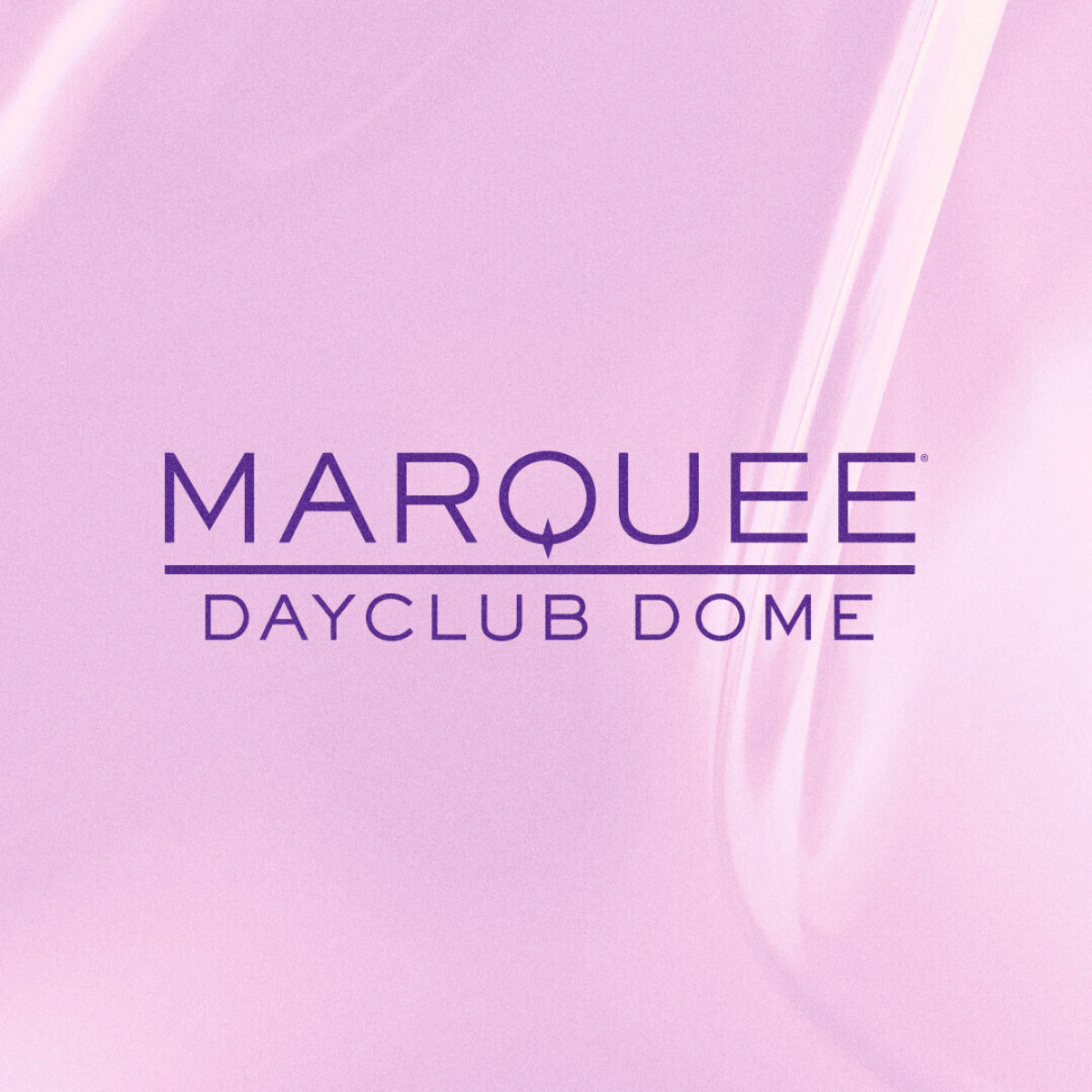 Marquee Dome Saturday