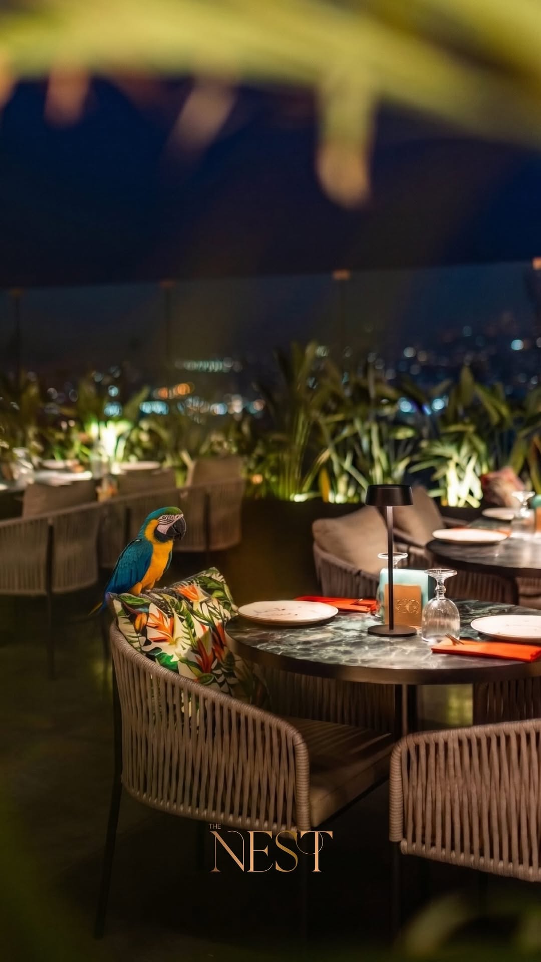 Video 5 from Nest Rooftop