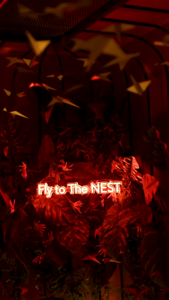 Video 1 from Nest Rooftop