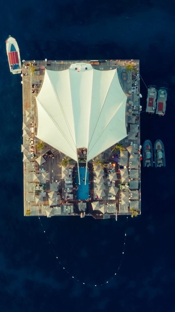 Video 8 from Noma Island