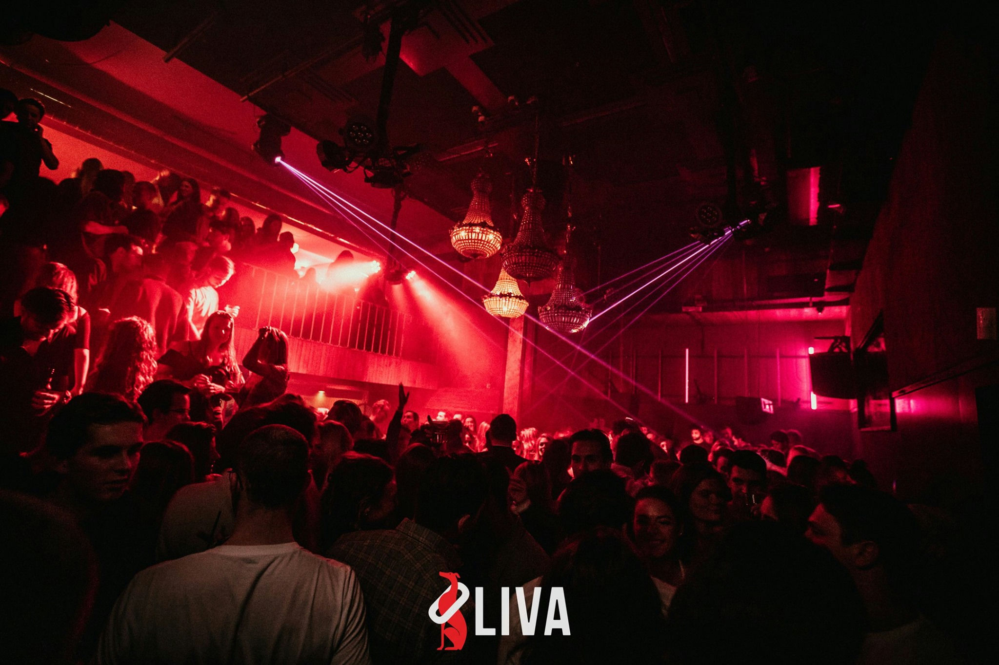 Oliva 