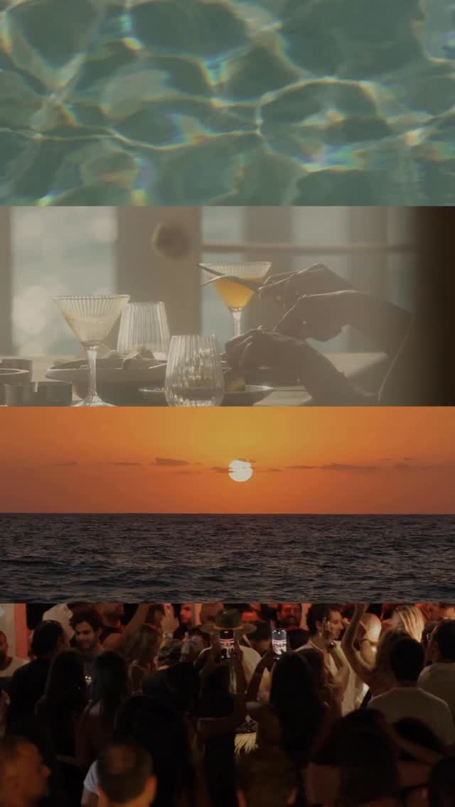 Video 5 from Oursin