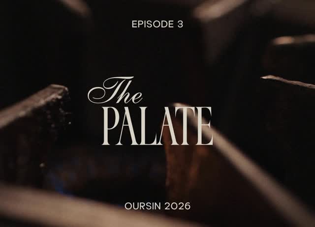 Video 4 from Oursin