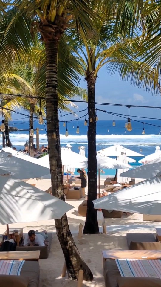 Video 1 from Palmilla Beach Club
