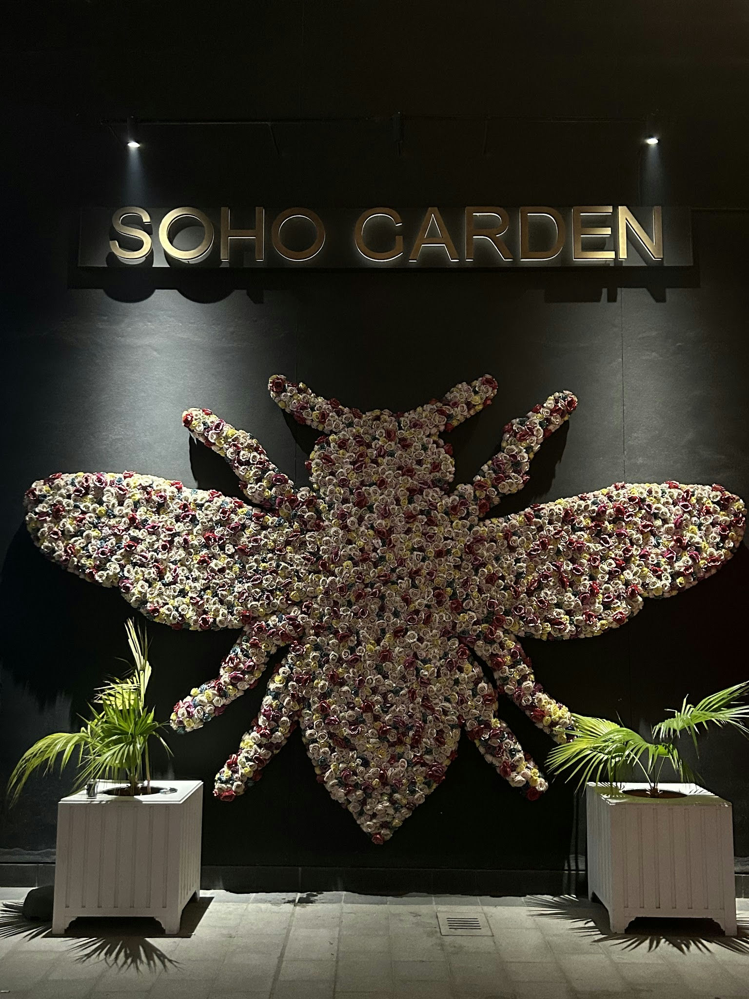 Soho Garden Palm, a night club in Dubai, UAE — photo 3