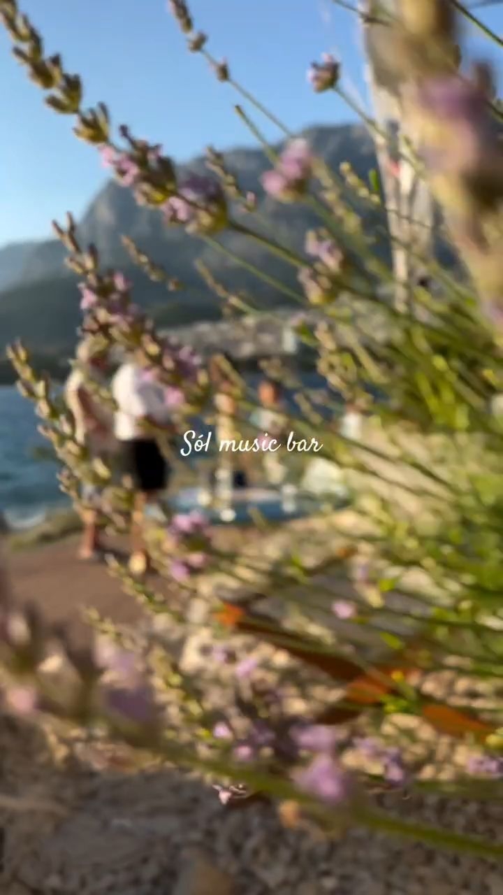 Video 4 from Sol Lounge