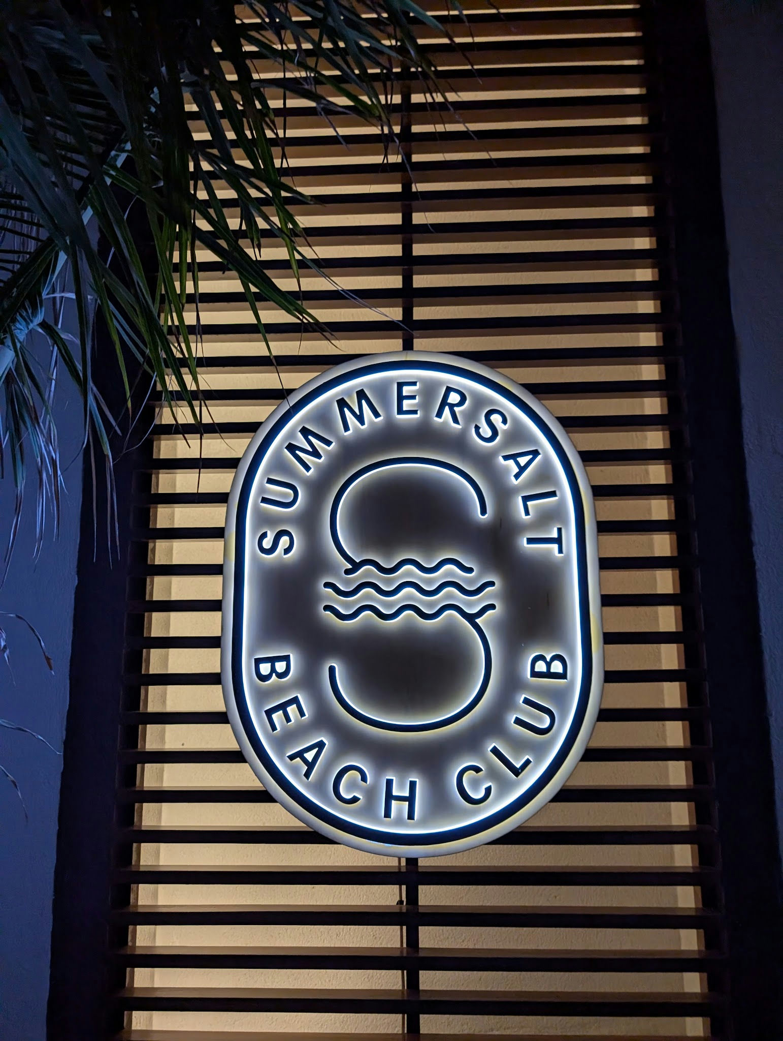 Summersalt Beach Club, a beach club in Dubai, UAE — photo 2