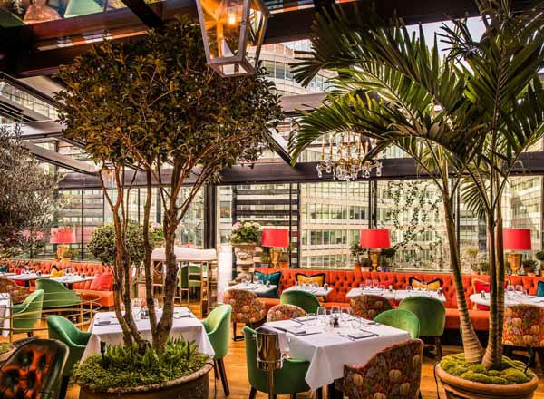 The Ivy Roof Garden