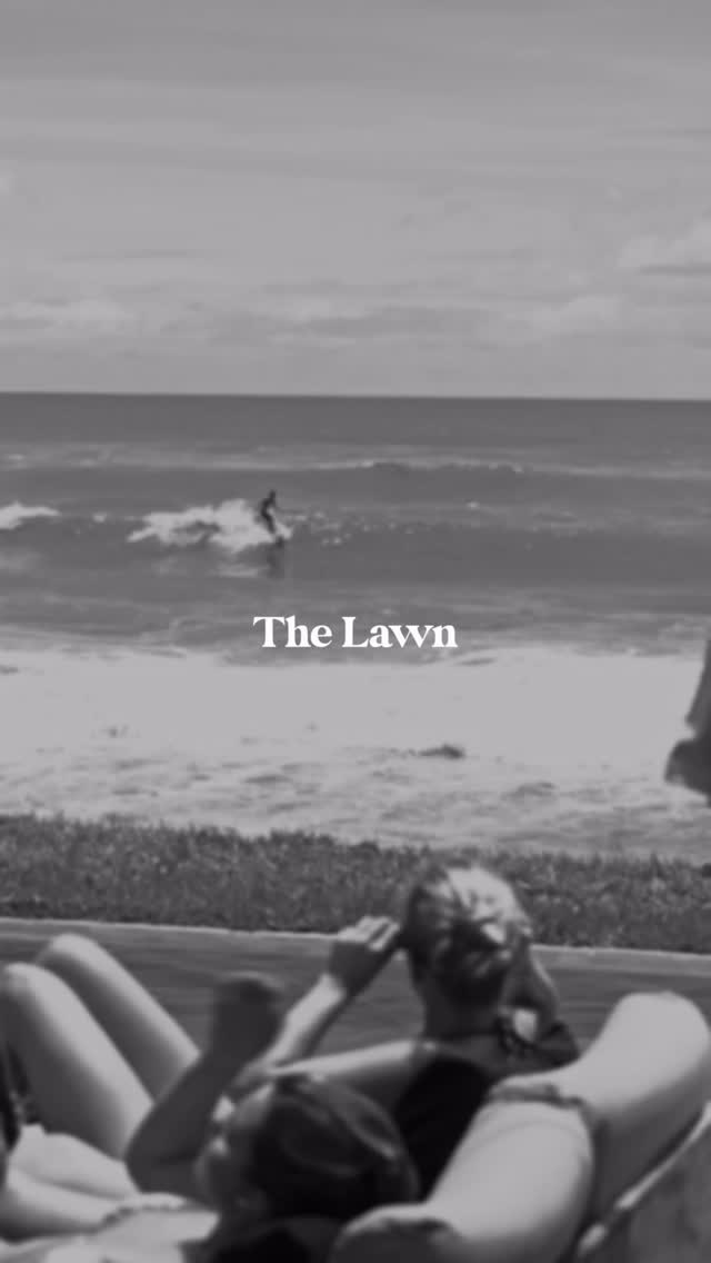 Video 6 from The Lawn