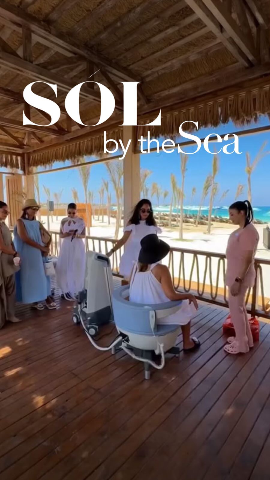 Video 5 from The Lemon Tree