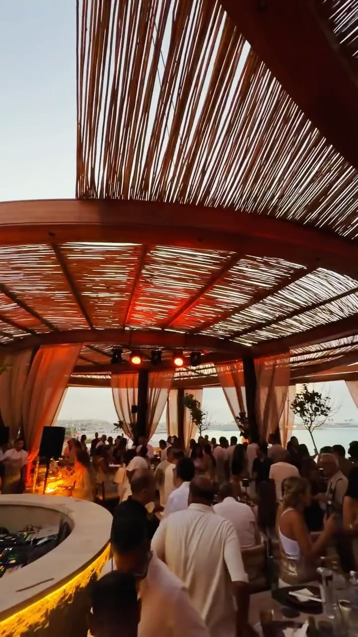 Video 7 from The Lemon Tree