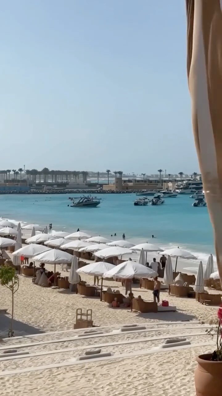 Video 8 from The Lemon Tree