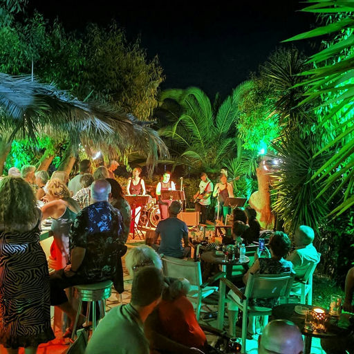 Tree Bar