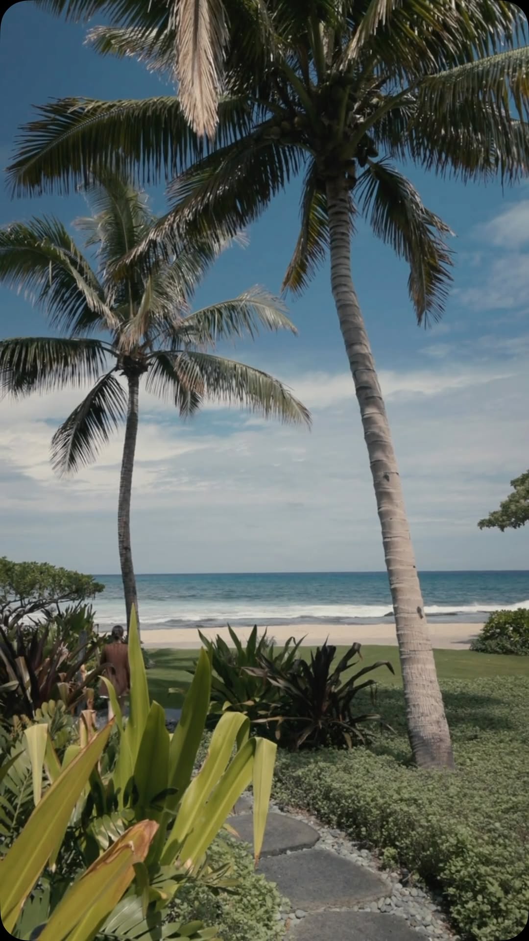 Video 5 from ULU Ocean Grill at Four Season