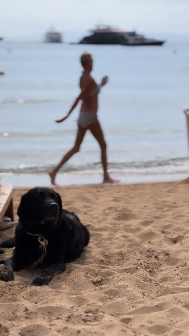 Video 4 from Zen Beach